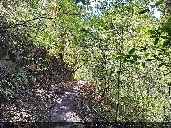 2025第一爬/新竹尖石養老段霞喀羅古道至白石吊橋巡楓趣 2025第一爬/新竹尖石養老段霞喀羅古道至白石吊橋巡楓趣