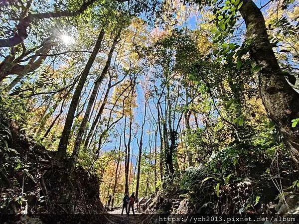 2025第一爬/新竹尖石養老段霞喀羅古道至白石吊橋巡楓趣 2025第一爬/新竹尖石養老段霞喀羅古道至白石吊橋巡楓趣