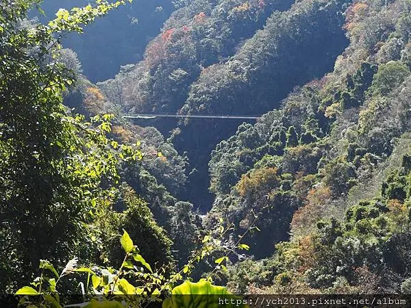 2025第一爬/新竹尖石養老段霞喀羅古道至白石吊橋巡楓趣 2025第一爬/新竹尖石養老段霞喀羅古道至白石吊橋巡楓趣