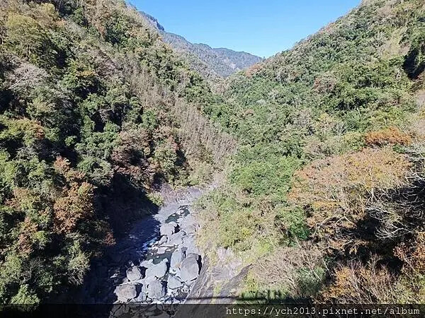 2025第一爬/新竹尖石養老段霞喀羅古道至白石吊橋巡楓趣 2025第一爬/新竹尖石養老段霞喀羅古道至白石吊橋巡楓趣