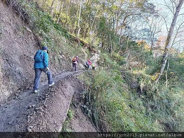 2025第一爬/新竹尖石養老段霞喀羅古道至白石吊橋巡楓趣 2025第一爬/新竹尖石養老段霞喀羅古道至白石吊橋巡楓趣