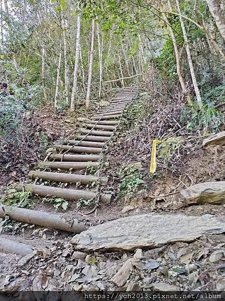 2025第一爬/新竹尖石養老段霞喀羅古道至白石吊橋巡楓趣 2025第一爬/新竹尖石養老段霞喀羅古道至白石吊橋巡楓趣