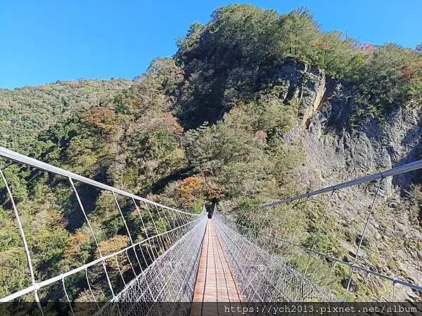2025第一爬/新竹尖石養老段霞喀羅古道至白石吊橋巡楓趣 2025第一爬/新竹尖石養老段霞喀羅古道至白石吊橋巡楓趣
