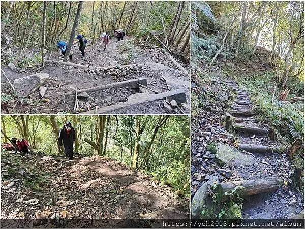 2025第一爬/新竹尖石養老段霞喀羅古道至白石吊橋巡楓趣 2025第一爬/新竹尖石養老段霞喀羅古道至白石吊橋巡楓趣