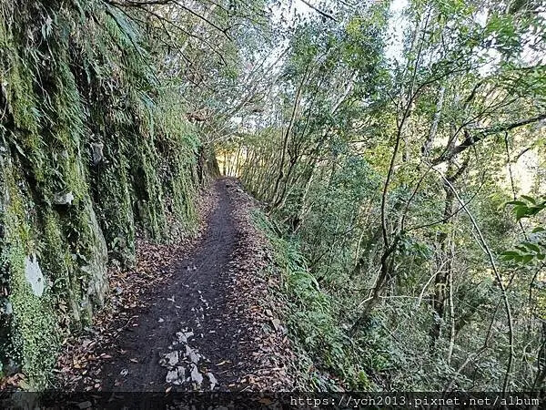 2025第一爬/新竹尖石養老段霞喀羅古道至白石吊橋巡楓趣 2025第一爬/新竹尖石養老段霞喀羅古道至白石吊橋巡楓趣