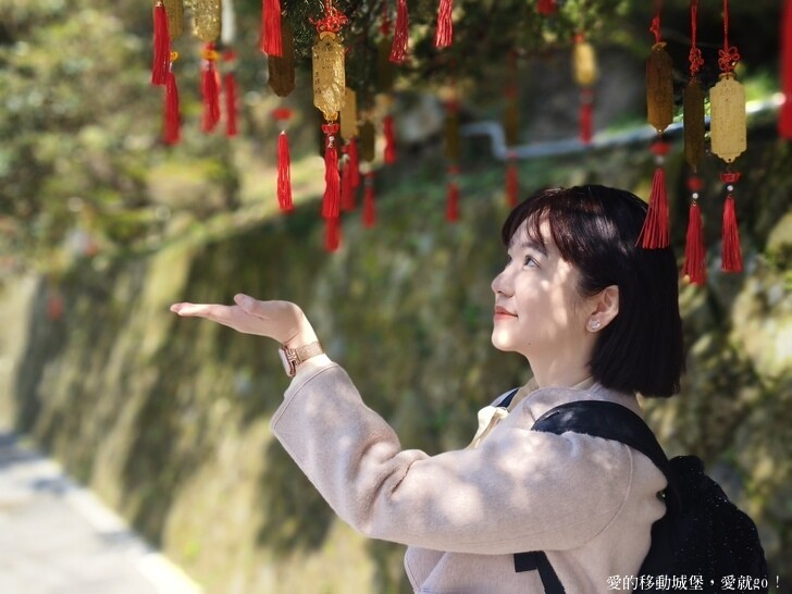 台北市文山區【台北指南宮 大漁櫻盛開】搭乘貓空纜車 俯瞰粉嫩櫻花交織的美景 指南宮站 浪漫櫻花正盛開 祈福蛇年平安好運到 愛就跟我一起 走靜貓空 賞花趣 !