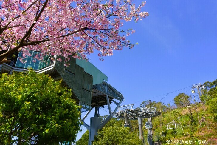 台北市文山區【台北指南宮 大漁櫻盛開】搭乘貓空纜車 俯瞰粉嫩櫻花交織的美景 指南宮站 浪漫櫻花正盛開 祈福蛇年平安好運到 愛就跟我一起 走靜貓空 賞花趣 !
