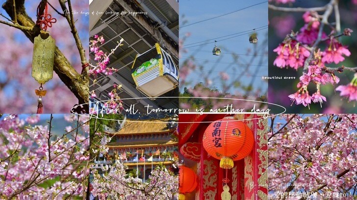 台北市文山區【台北指南宮 大漁櫻盛開】搭乘貓空纜車 俯瞰粉嫩櫻花交織的美景 指南宮站 浪漫櫻花正盛開 祈福蛇年平安好運到 愛就跟我一起 走靜貓空 賞花趣 !