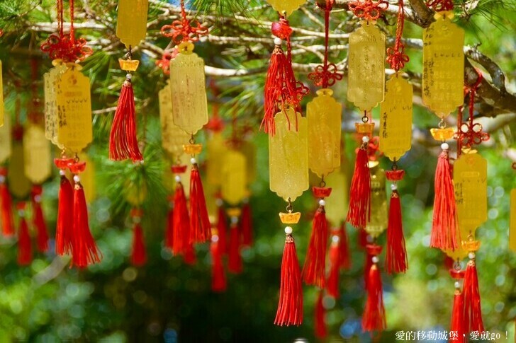 台北市文山區【台北指南宮 大漁櫻盛開】搭乘貓空纜車 俯瞰粉嫩櫻花交織的美景 指南宮站 浪漫櫻花正盛開 祈福蛇年平安好運到 愛就跟我一起 走靜貓空 賞花趣 !