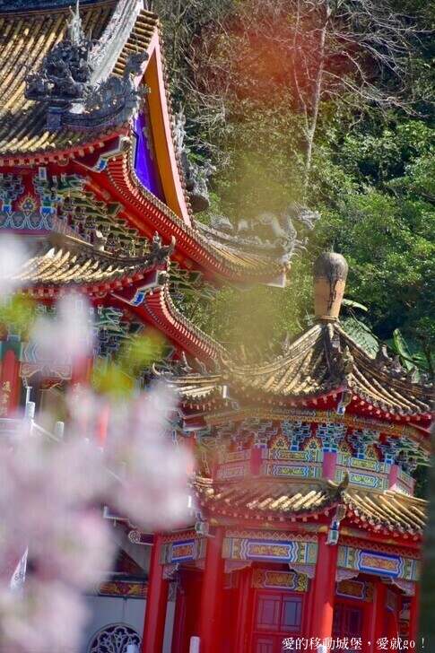 台北市文山區【台北指南宮 大漁櫻盛開】搭乘貓空纜車 俯瞰粉嫩櫻花交織的美景 指南宮站 浪漫櫻花正盛開 祈福蛇年平安好運到 愛就跟我一起 走靜貓空 賞花趣 !