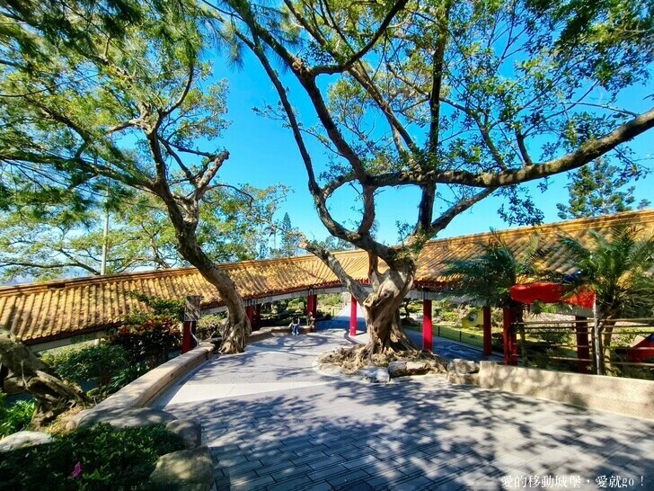 台北市文山區【台北指南宮 大漁櫻盛開】搭乘貓空纜車 俯瞰粉嫩櫻花交織的美景 指南宮站 浪漫櫻花正盛開 祈福蛇年平安好運到 愛就跟我一起 走靜貓空 賞花趣 !