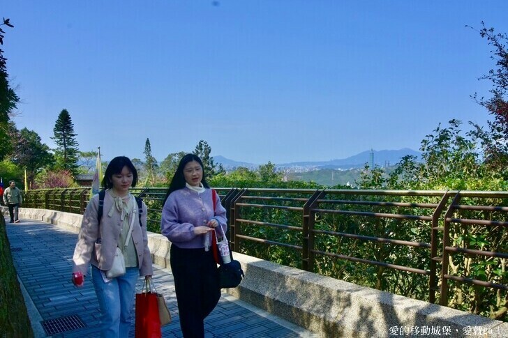 台北市文山區【台北指南宮 大漁櫻盛開】搭乘貓空纜車 俯瞰粉嫩櫻花交織的美景 指南宮站 浪漫櫻花正盛開 祈福蛇年平安好運到 愛就跟我一起 走靜貓空 賞花趣 !