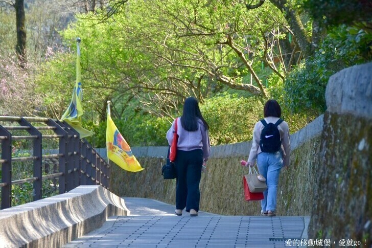 台北市文山區【台北指南宮 大漁櫻盛開】搭乘貓空纜車 俯瞰粉嫩櫻花交織的美景 指南宮站 浪漫櫻花正盛開 祈福蛇年平安好運到 愛就跟我一起 走靜貓空 賞花趣 !