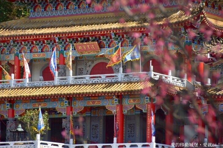 台北市文山區【台北指南宮 大漁櫻盛開】搭乘貓空纜車 俯瞰粉嫩櫻花交織的美景 指南宮站 浪漫櫻花正盛開 祈福蛇年平安好運到 愛就跟我一起 走靜貓空 賞花趣 !