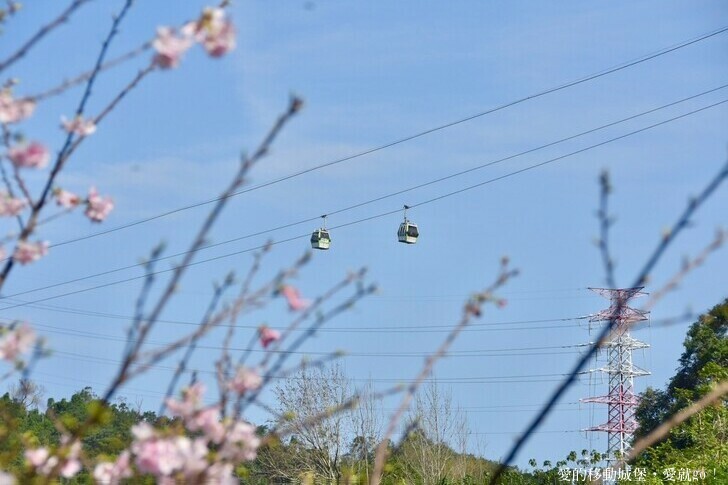 台北市文山區【台北指南宮 大漁櫻盛開】搭乘貓空纜車 俯瞰粉嫩櫻花交織的美景 指南宮站 浪漫櫻花正盛開 祈福蛇年平安好運到 愛就跟我一起 走靜貓空 賞花趣 !