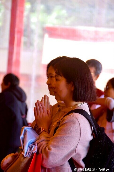 台北市文山區【台北指南宮 大漁櫻盛開】搭乘貓空纜車 俯瞰粉嫩櫻花交織的美景 指南宮站 浪漫櫻花正盛開 祈福蛇年平安好運到 愛就跟我一起 走靜貓空 賞花趣 !