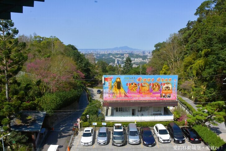 台北市文山區【台北指南宮 大漁櫻盛開】搭乘貓空纜車 俯瞰粉嫩櫻花交織的美景 指南宮站 浪漫櫻花正盛開 祈福蛇年平安好運到 愛就跟我一起 走靜貓空 賞花趣 !