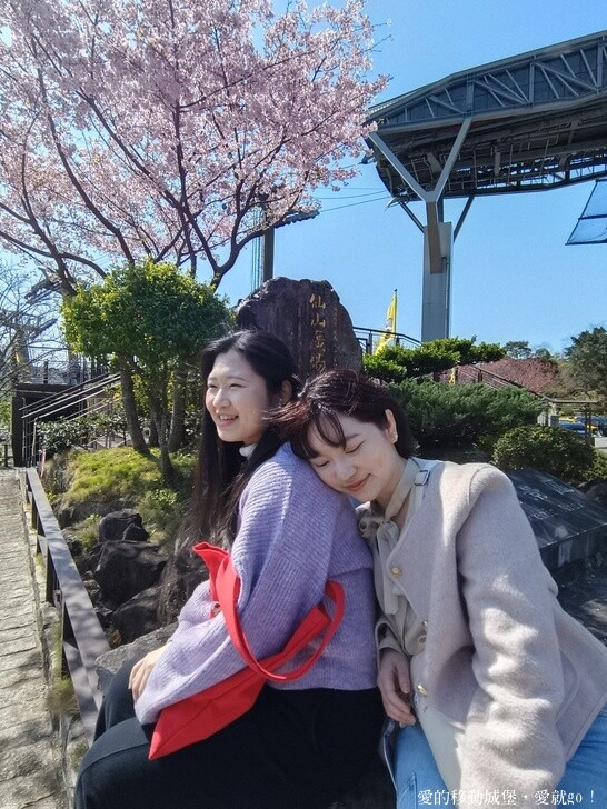 台北市文山區【台北指南宮 大漁櫻盛開】搭乘貓空纜車 俯瞰粉嫩櫻花交織的美景 指南宮站 浪漫櫻花正盛開 祈福蛇年平安好運到 愛就跟我一起 走靜貓空 賞花趣 !