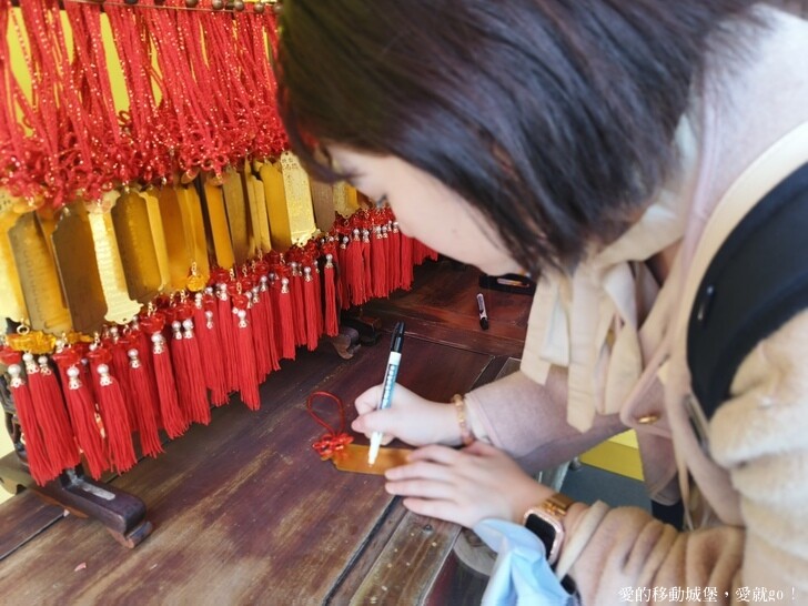 台北市文山區【台北指南宮 大漁櫻盛開】搭乘貓空纜車 俯瞰粉嫩櫻花交織的美景 指南宮站 浪漫櫻花正盛開 祈福蛇年平安好運到 愛就跟我一起 走靜貓空 賞花趣 !