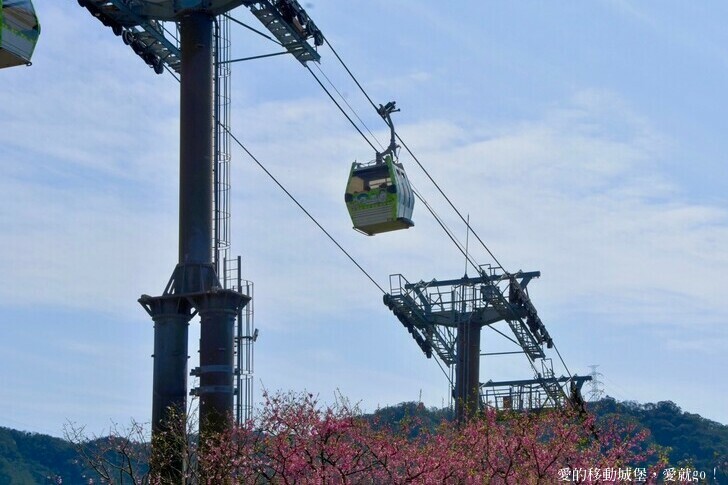 台北市文山區【台北指南宮 大漁櫻盛開】搭乘貓空纜車 俯瞰粉嫩櫻花交織的美景 指南宮站 浪漫櫻花正盛開 祈福蛇年平安好運到 愛就跟我一起 走靜貓空 賞花趣 !