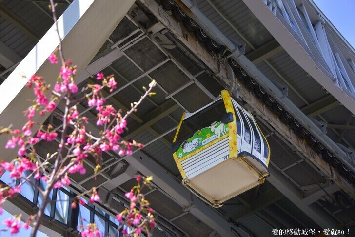台北市文山區【台北指南宮 大漁櫻盛開】搭乘貓空纜車 俯瞰粉嫩櫻花交織的美景 指南宮站 浪漫櫻花正盛開 祈福蛇年平安好運到 愛就跟我一起 走靜貓空 賞花趣 !