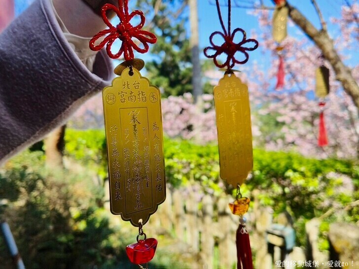 台北市文山區【台北指南宮 大漁櫻盛開】搭乘貓空纜車 俯瞰粉嫩櫻花交織的美景 指南宮站 浪漫櫻花正盛開 祈福蛇年平安好運到 愛就跟我一起 走靜貓空 賞花趣 !