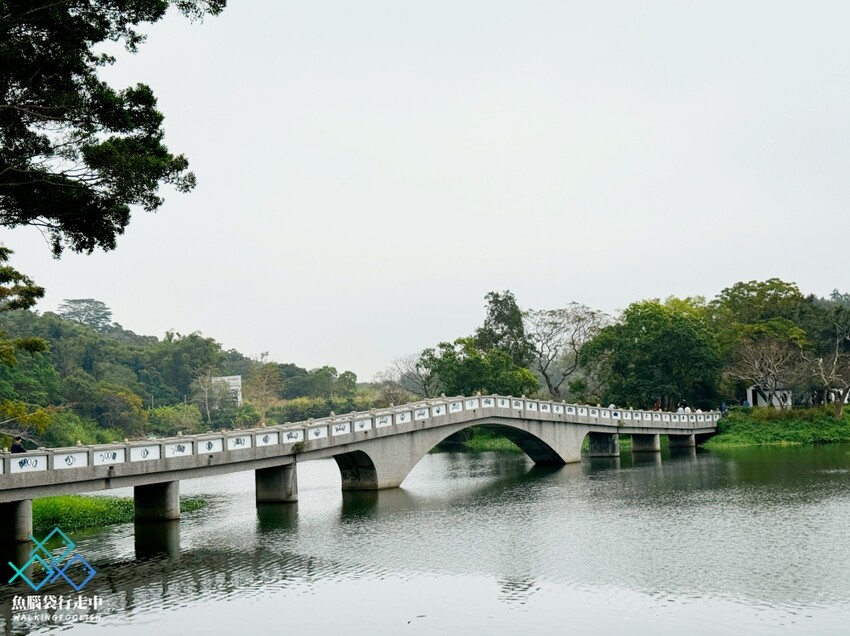 新竹青草湖│鄰近竹科與市區的散步健行、踩天鵝船景點選擇 - 魚腦袋行走中