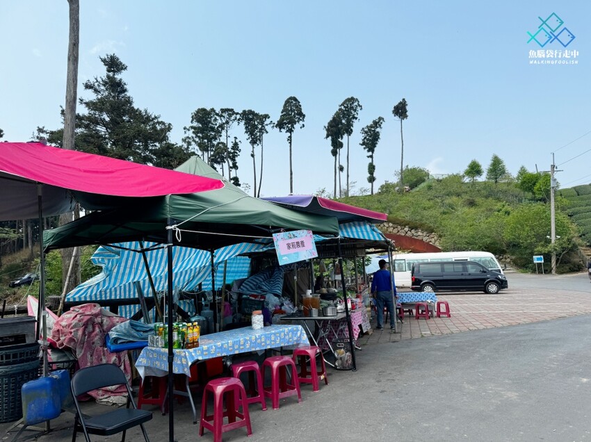 雲林秘境│雲嶺之丘、五元兩角、杉木林步道景點，360度環景 - 魚腦袋行走中