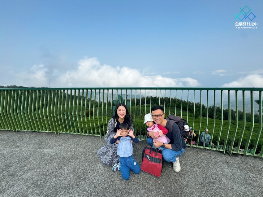 雲林秘境│雲嶺之丘、五元兩角、杉木林步道景點，360度環景 - 魚腦袋行走中