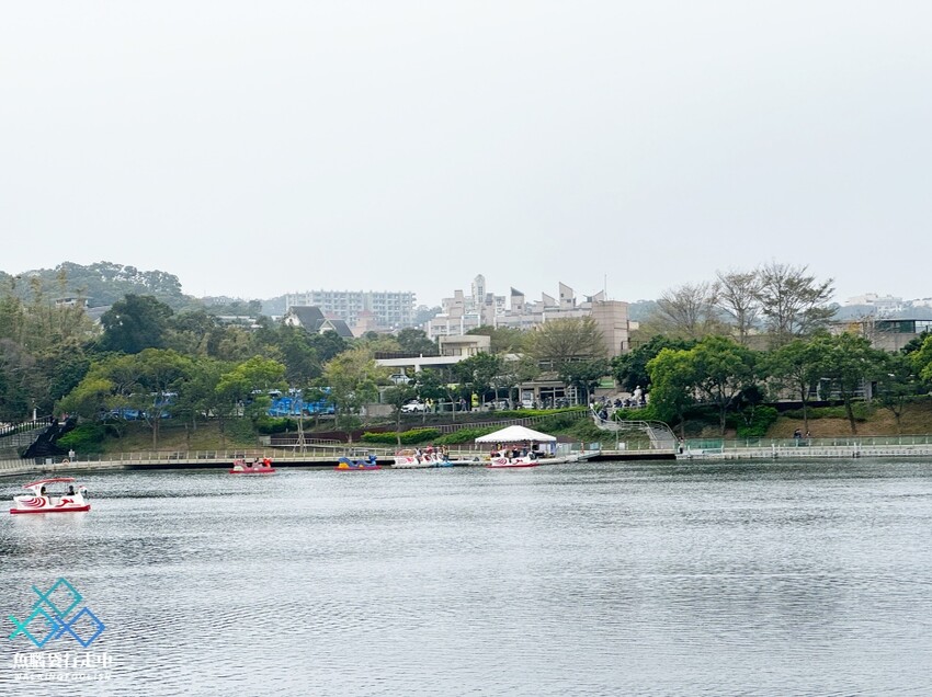 新竹青草湖│鄰近竹科與市區的散步健行、踩天鵝船景點選擇 - 魚腦袋行走中