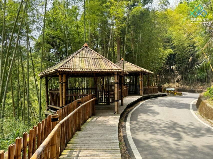 雲林秘境│雲嶺之丘、五元兩角、杉木林步道景點，360度環景 - 魚腦袋行走中