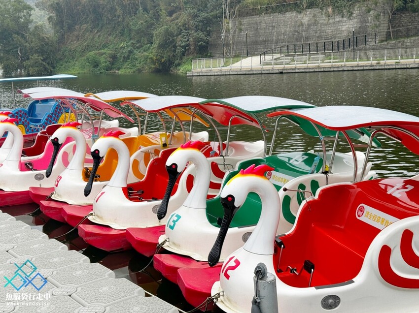 新竹青草湖│鄰近竹科與市區的散步健行、踩天鵝船景點選擇 - 魚腦袋行走中