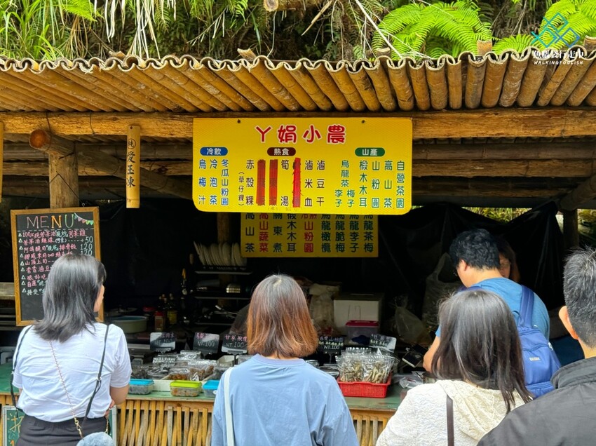 雲林秘境│雲嶺之丘、五元兩角、杉木林步道景點，360度環景 - 魚腦袋行走中
