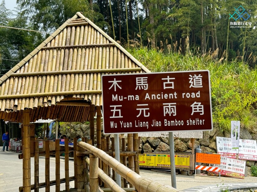 雲林秘境│雲嶺之丘、五元兩角、杉木林步道景點，360度環景 - 魚腦袋行走中