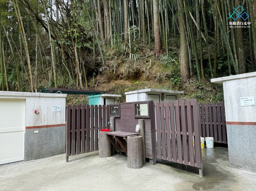 雲林秘境│雲嶺之丘、五元兩角、杉木林步道景點，360度環景 - 魚腦袋行走中