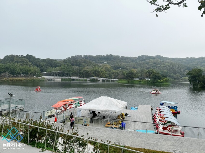 新竹青草湖│鄰近竹科與市區的散步健行、踩天鵝船景點選擇 - 魚腦袋行走中