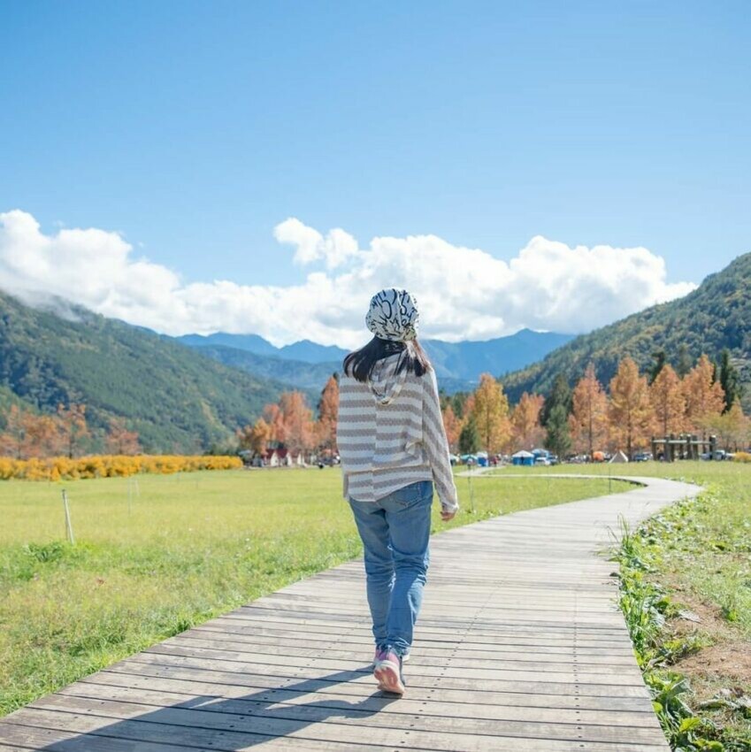 台中市和平區【2025武陵農場露營】武陵露營區介紹、住宿種類、預訂資訊攻略