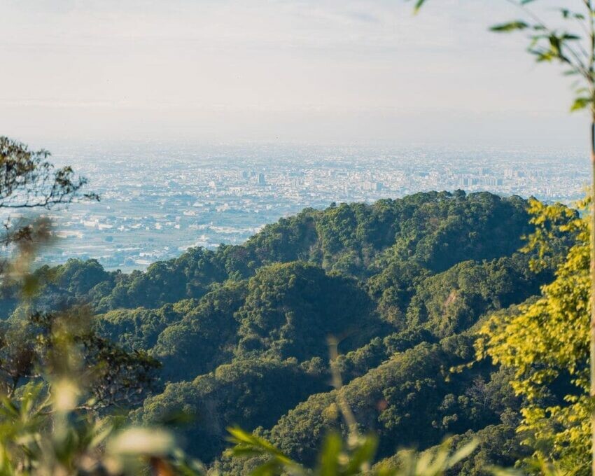 南投縣南投市【八卦山景點推薦】微笑天梯眺望市區美景、松柏嶺感受茶香，沿著八卦山休閒軸玩南投！