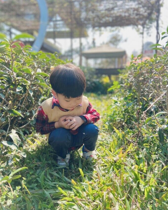 南投縣南投市【八卦山景點推薦】微笑天梯眺望市區美景、松柏嶺感受茶香，沿著八卦山休閒軸玩南投！