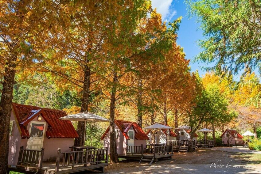 台中市和平區【2025武陵農場露營】武陵露營區介紹、住宿種類、預訂資訊攻略