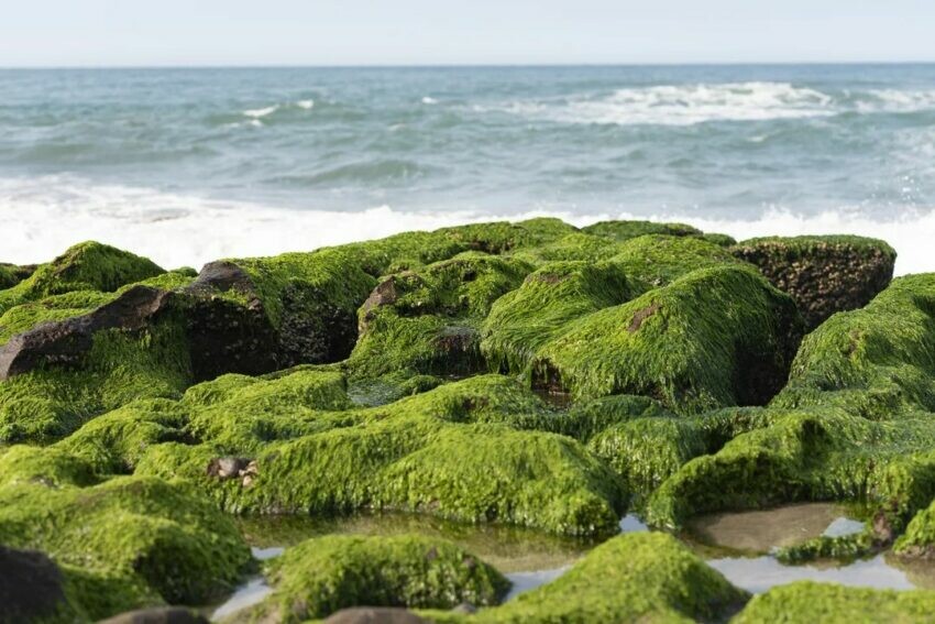 新北市瑞芳區【2025新北景點推薦】精選16個新北一日遊景點、60個新北旅遊秘境一次看