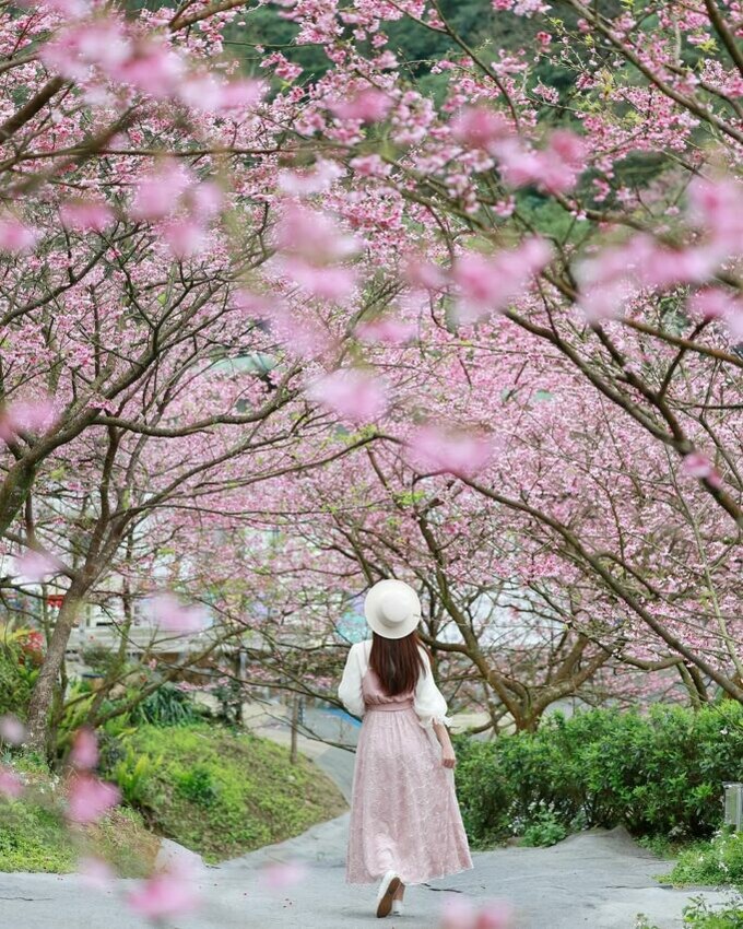 新北市瑞芳區【2025新北景點推薦】精選16個新北一日遊景點、60個新北旅遊秘境一次看