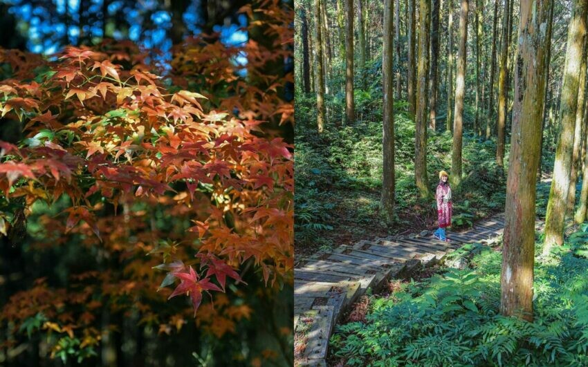 新北市瑞芳區【2025新北景點推薦】精選16個新北一日遊景點、60個新北旅遊秘境一次看