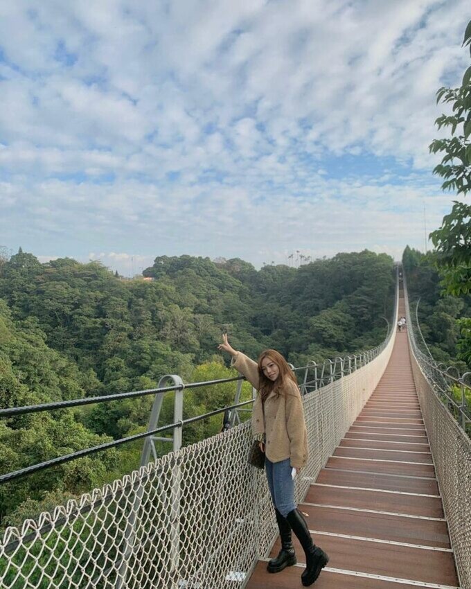 南投縣南投市【八卦山景點推薦】微笑天梯眺望市區美景、松柏嶺感受茶香，沿著八卦山休閒軸玩南投！
