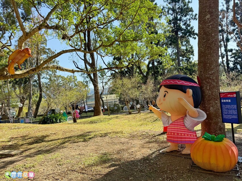 桃園市中壢區2025台灣燈會在桃園，寶可夢小提燈領取方式，必拍必玩賞花燈攻略