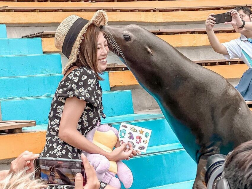 新北市瑞芳區【2025新北景點推薦】精選16個新北一日遊景點、60個新北旅遊秘境一次看