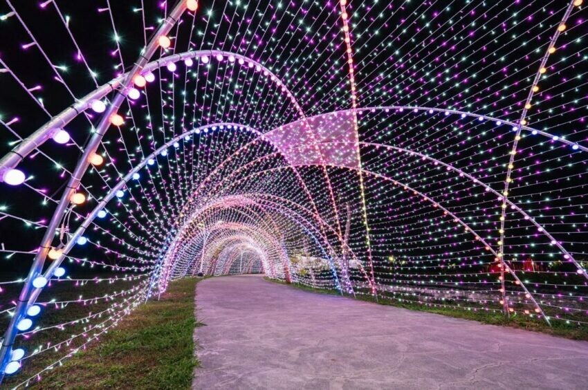 屏東縣屏東市【2025屏東燈節攻略】4大亮點燈區在哪?主燈秀時間地點、交通接駁總整理