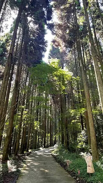 日本2024九州自由行-異世界動畫景點-上色見熊野座神社