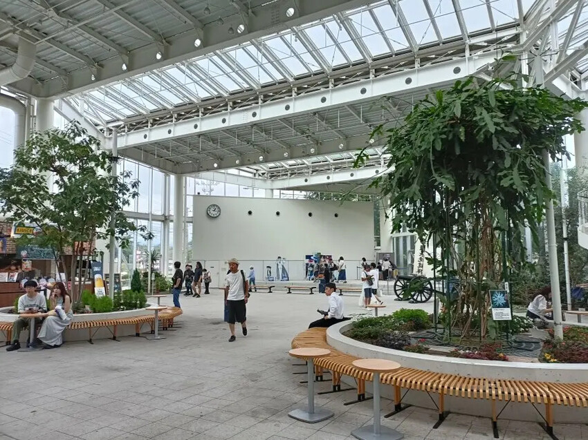 日本2024東京北海道|函館市電、五稜郭塔登高望遠~來五稜郭必吃MILKISSIMO義式冰淇淋!