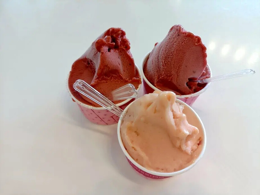 日本2024東京北海道|函館市電、五稜郭塔登高望遠~來五稜郭必吃MILKISSIMO義式冰淇淋!